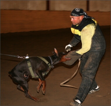 Training in Estonia 11/2007